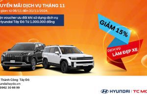 KHUYẾN MÃI DỊCH VỤ THÁNG 11/2024
