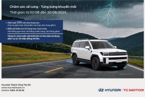 CHĂM SÓC XẾ CƯNG – TƯNG BỪNG ƯU ĐÃI